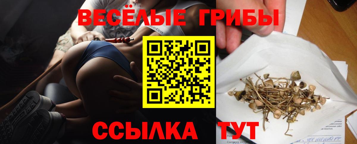 Псилоцибиновые грибы Cubensis Тольятти